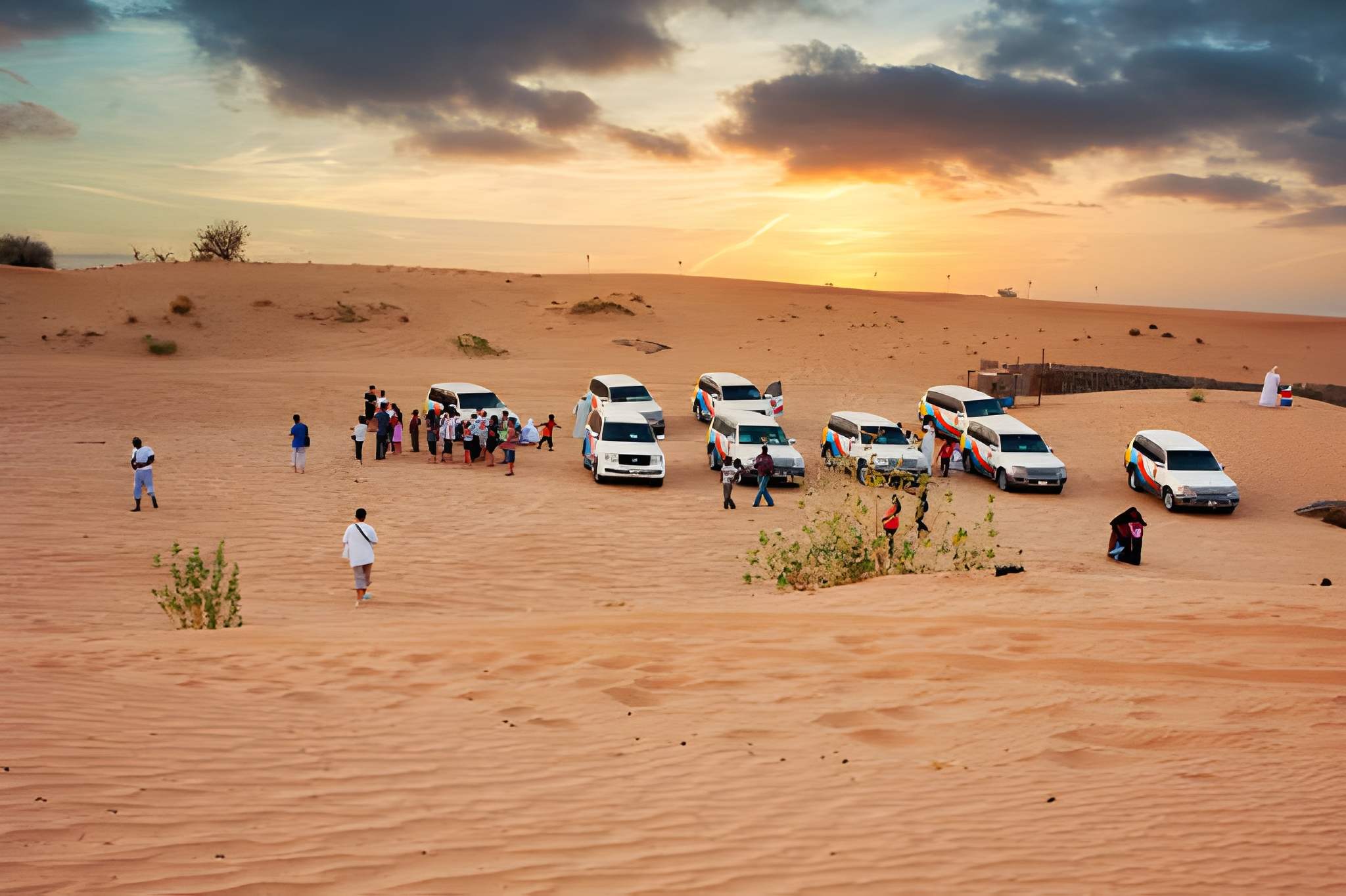 Half Day Desert Safari Qatar - Gallery 1