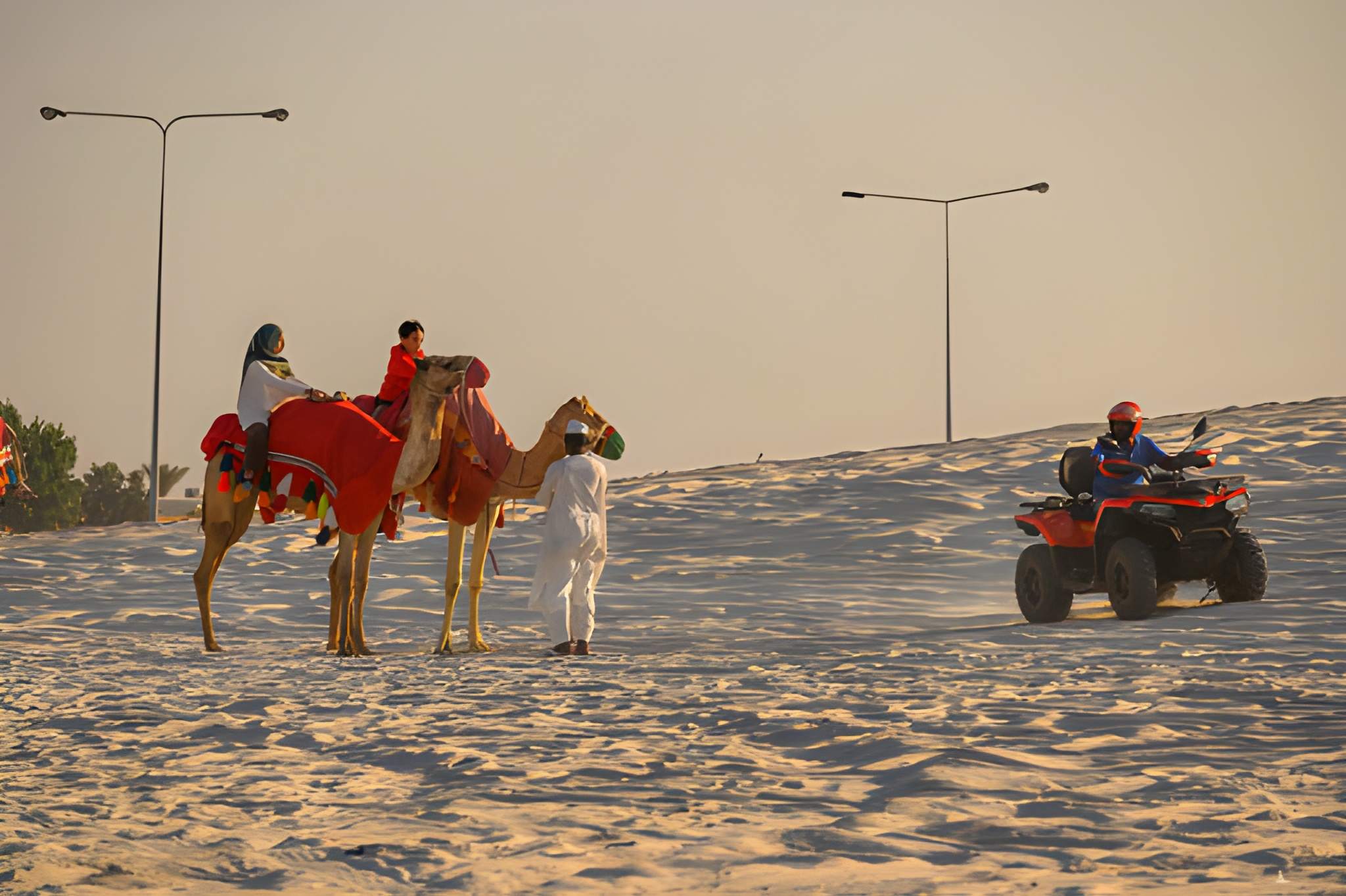 Half Day Desert Safari Qatar - Gallery 2