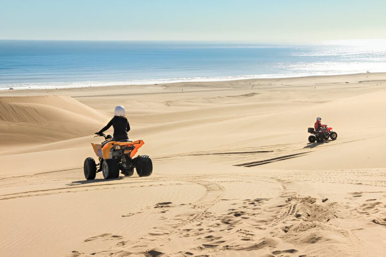 Full Day Desert Safari - Gallery 2