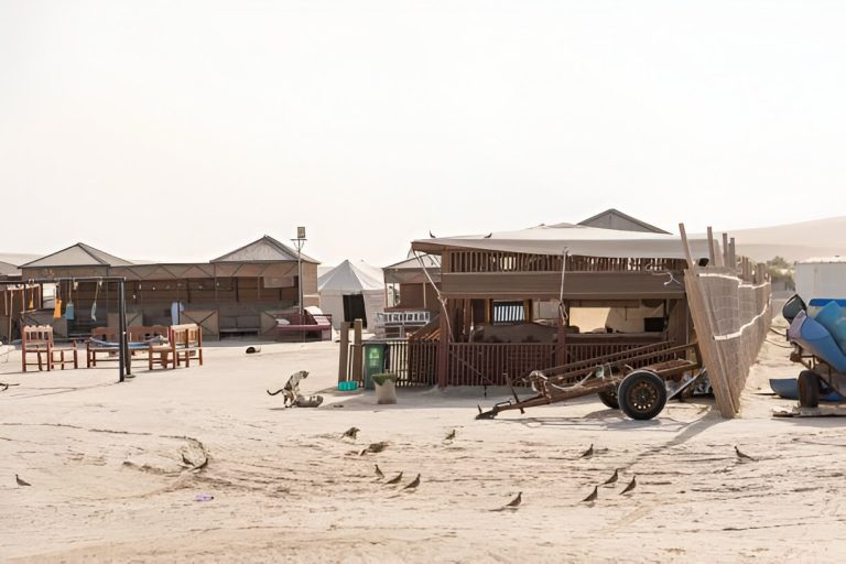 steptodown.com548278