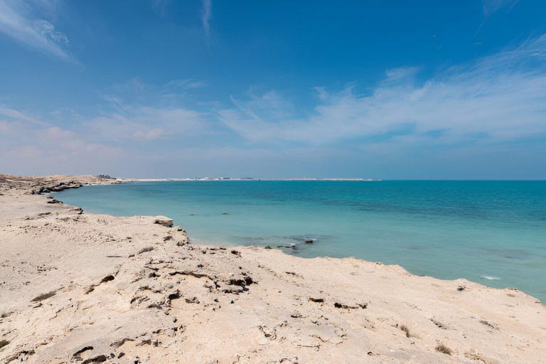 steptodown.com690998