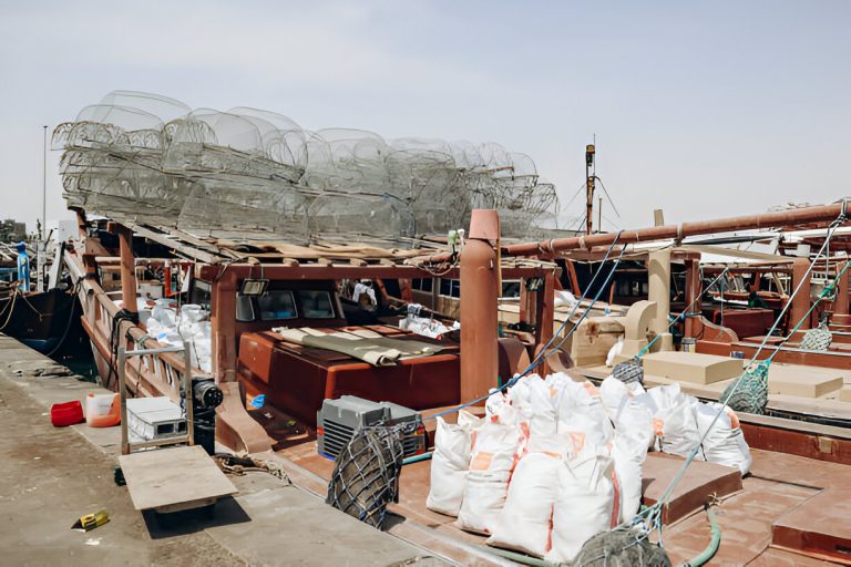 steptodown.com983618