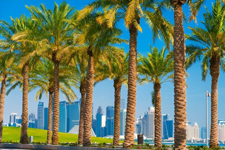 City Tour steptodown.com288027