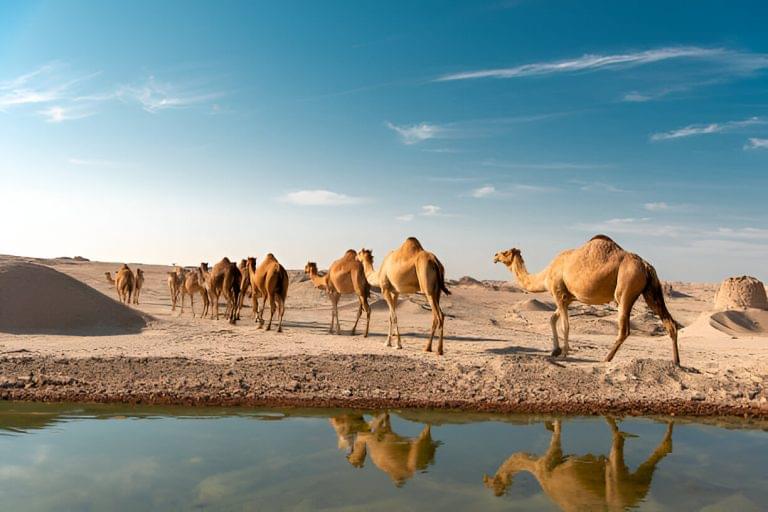 steptodown.com723003 (1)